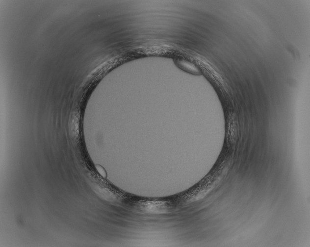 X0000111460501200908241322