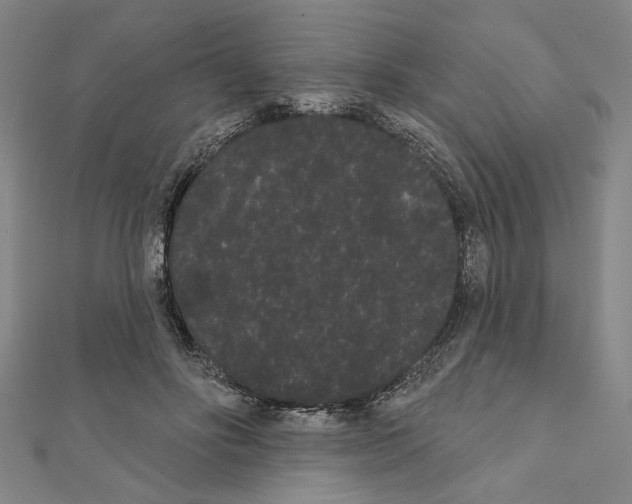 X0000111460502200908241322