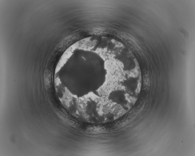 X0000111460503200908241322