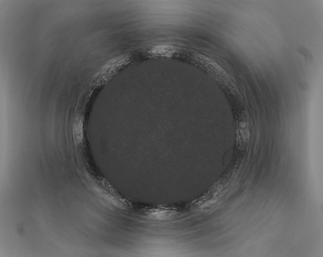 X0000111460504200908241322