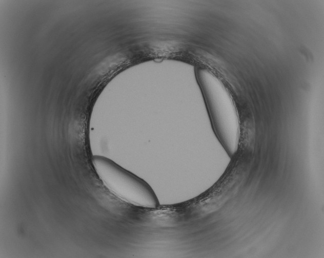 X0000111460505200908241322