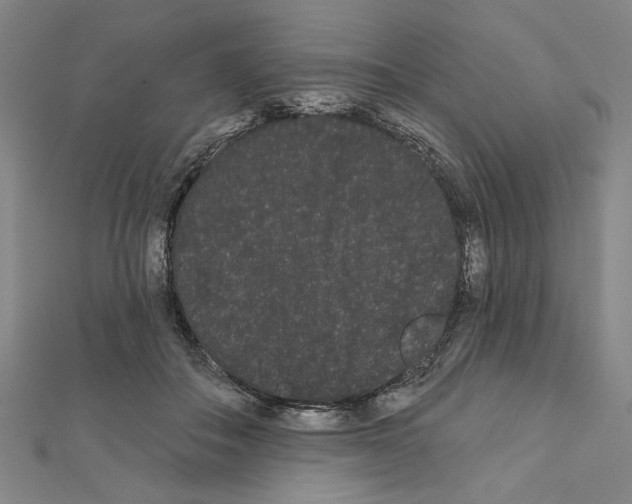 X0000111460506200908241322