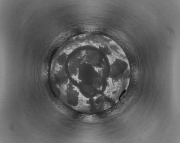 X0000111460507200908241322