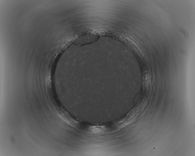 X0000111460508200908241322