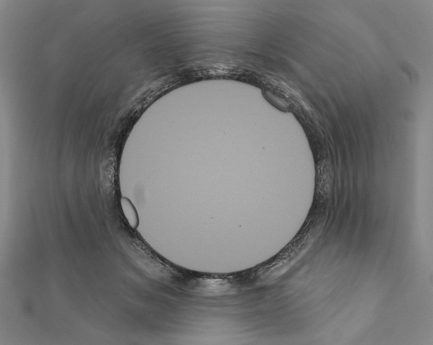 X0000111460509200908241322