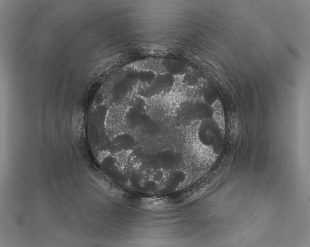 X0000111460511200908241322