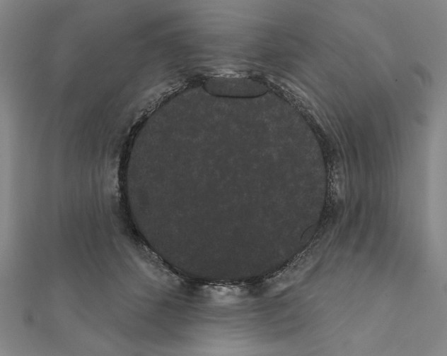 X0000111460512200908241322
