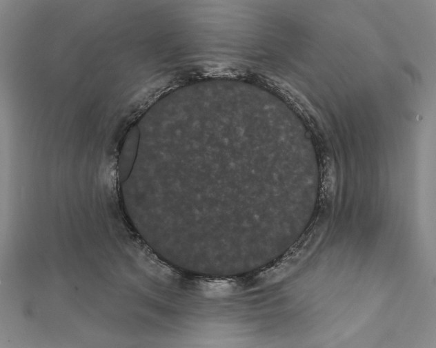 X0000111460513200908241322