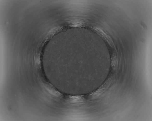 X0000111460516200908241322