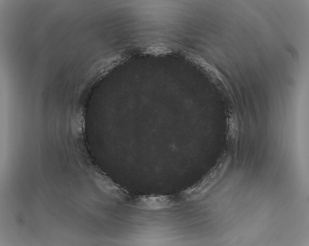 X0000111460517200908241322
