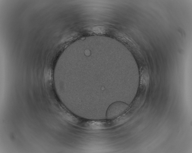X0000111460518200908241322