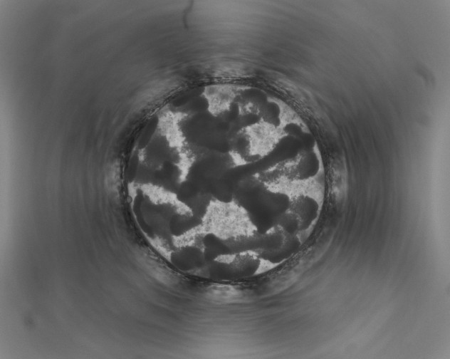 X0000111460519200908241322