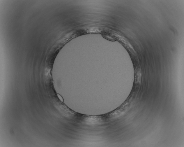 X0000111460521200908241322