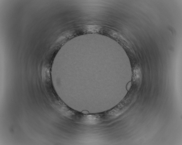 X0000111460522200908241322
