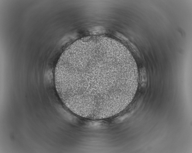 X0000111460523200908241322
