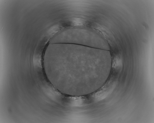 X0000111460524200908241322