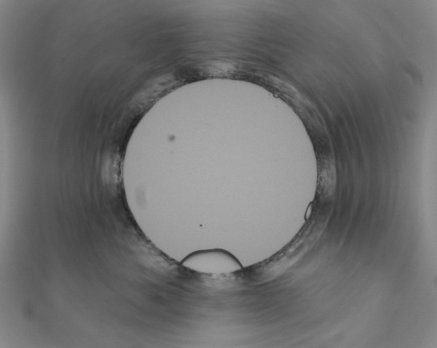 X0000111460525200908241322