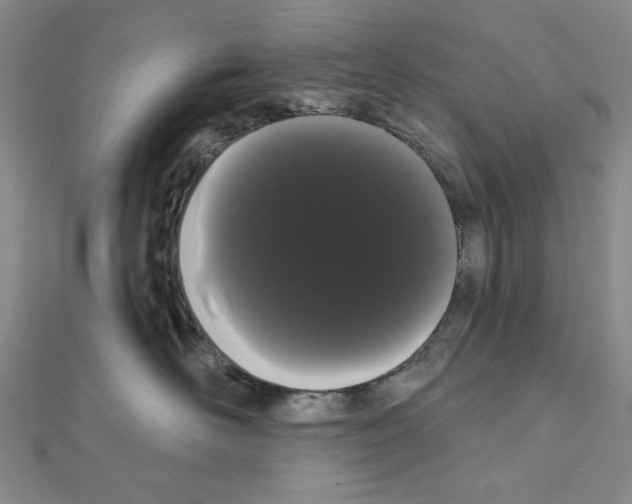 X0000111460526200908241322