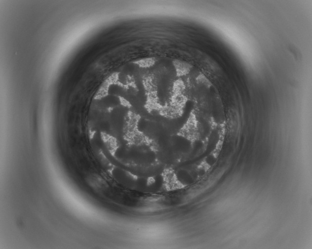 X0000111460527200908241322