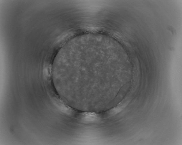 X0000111460528200908241322