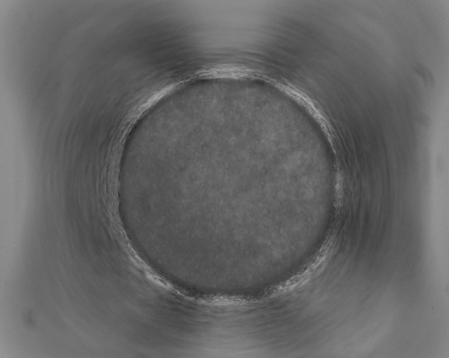 X0000111460529200908241321
