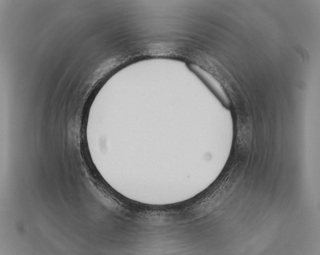X0000111460530200908241321