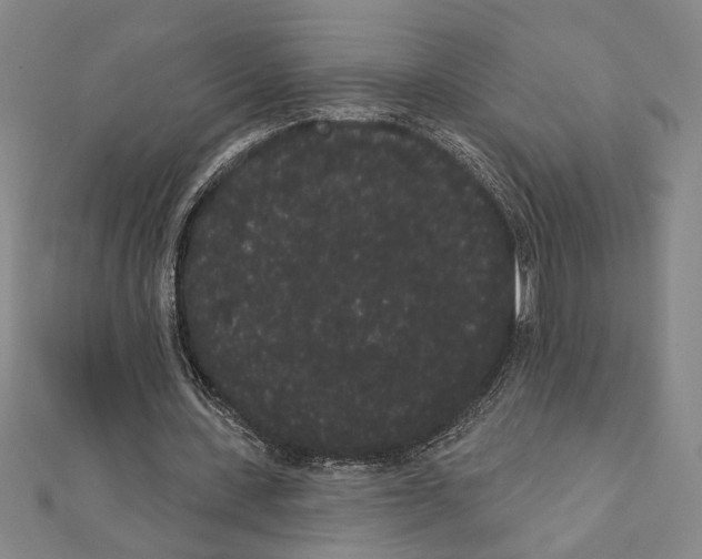 X0000111460531200908241321