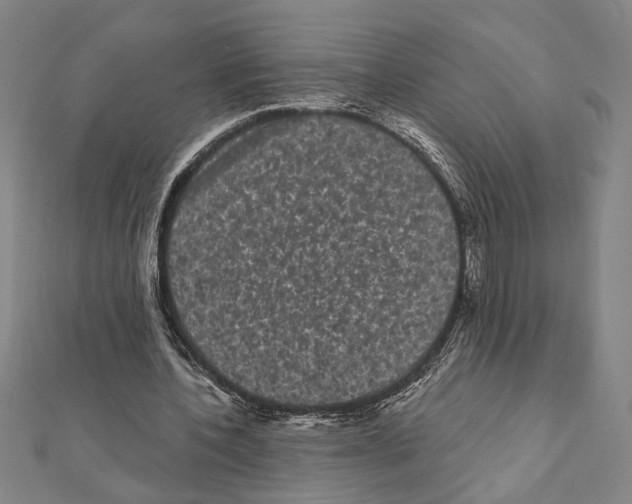 X0000111460532200908241321