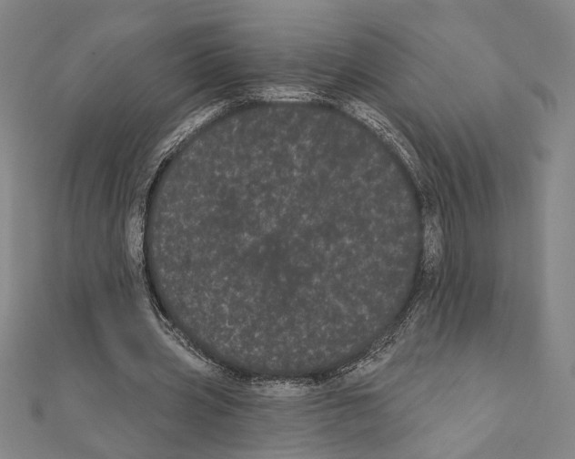 X0000111460533200908241321