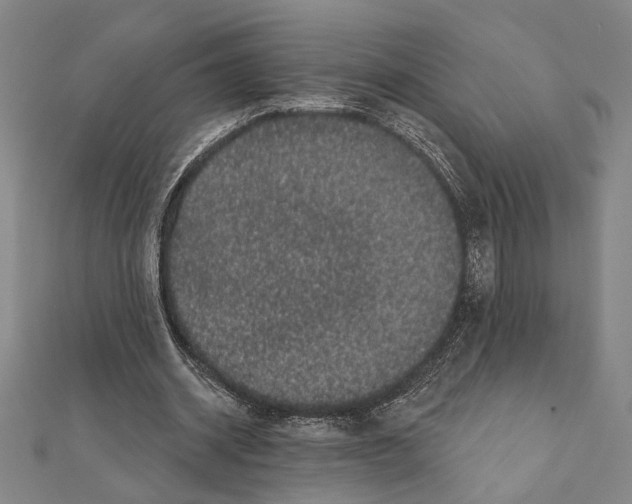 X0000111460534200908241321