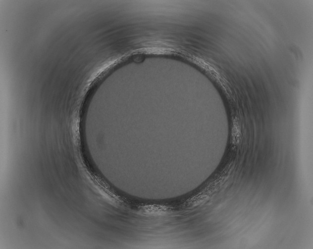 X0000111460535200908241321
