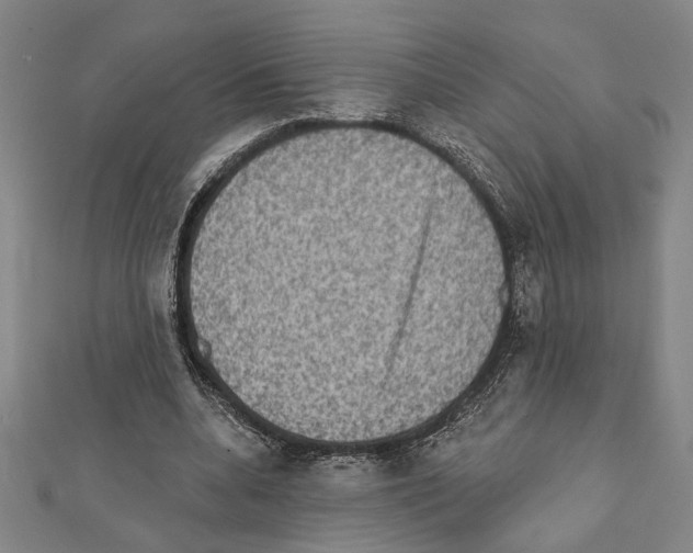 X0000111460536200908241321