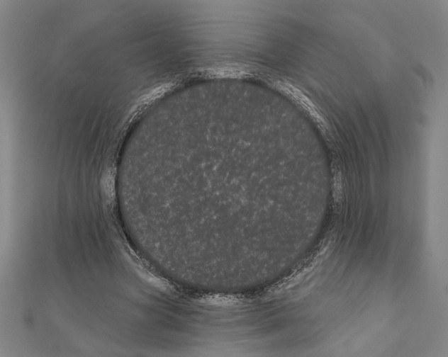 X0000111460537200908241321