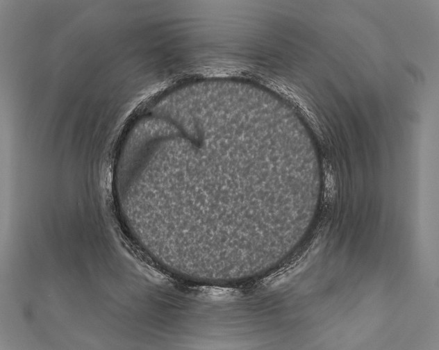 X0000111460539200908241321
