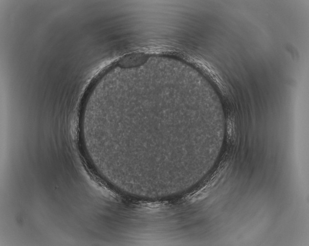 X0000111460540200908241321