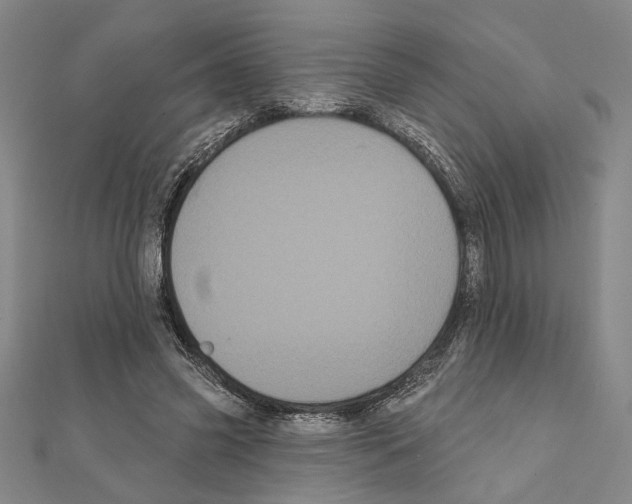 X0000111460541200908241321