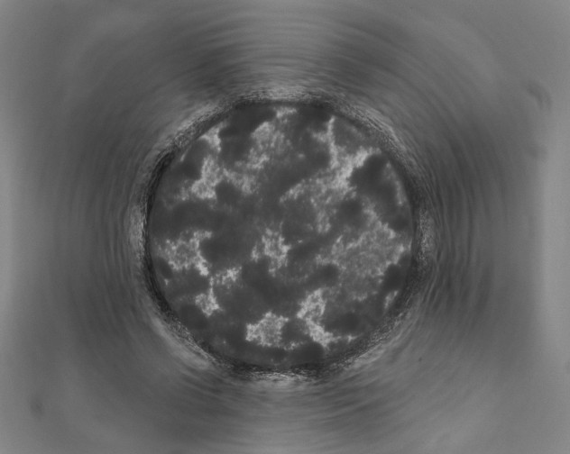 X0000111460542200908241321