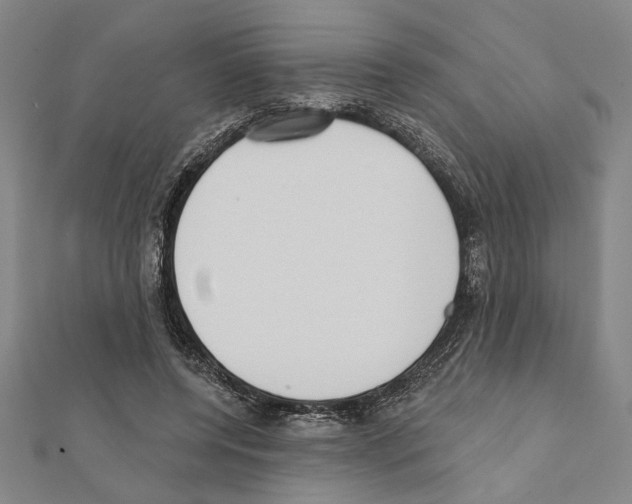 X0000111460544200908241321