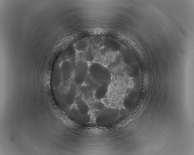 X0000111460545200908241321