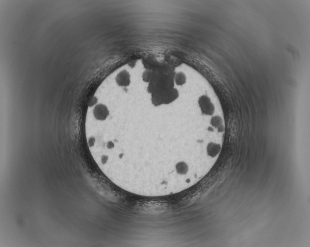 X0000111460546200908241321