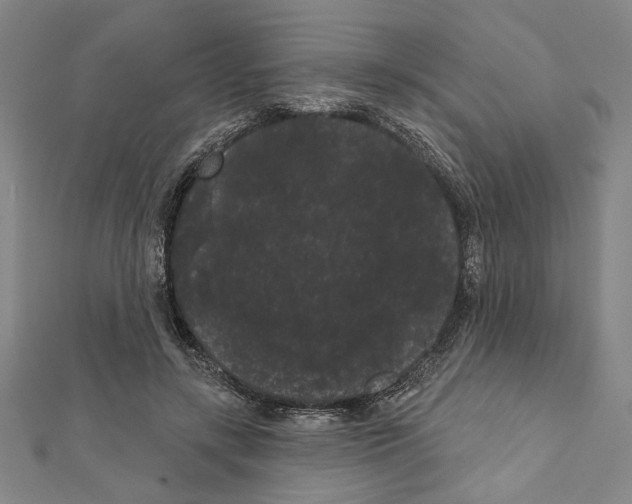 X0000111460547200908241321