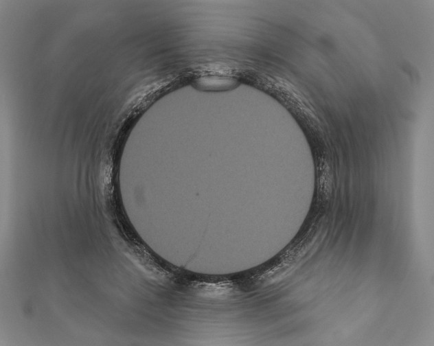X0000111460548200908241321