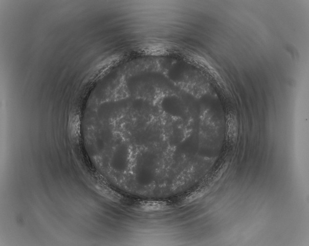 X0000111460549200908241321