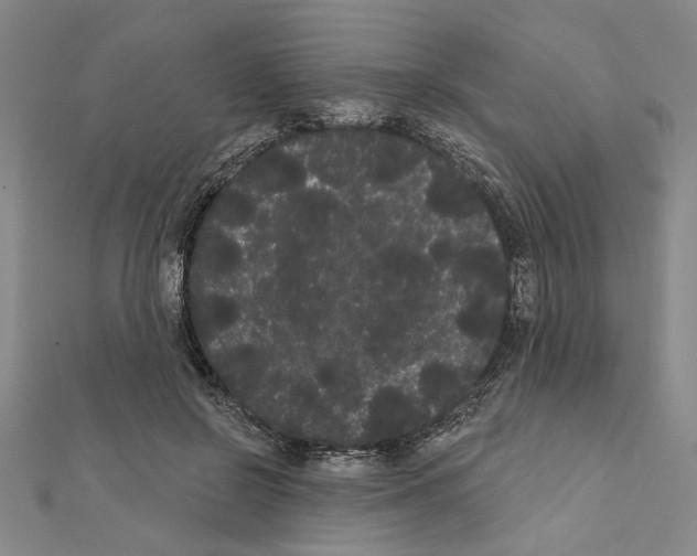 X0000111460550200908241321