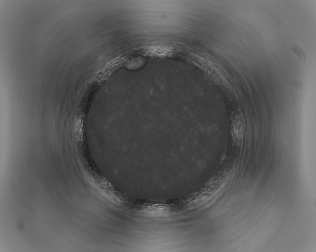 X0000111460551200908241321