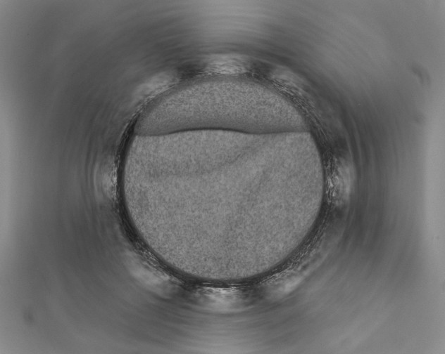 X0000111460552200908241321