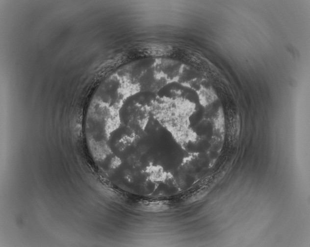 X0000111460553200908241321