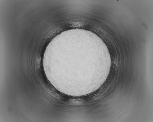 X0000111460556200908241321