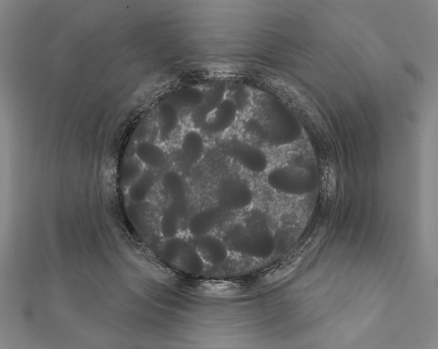 X0000111460557200908241321