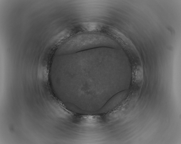 X0000111460558200908241321